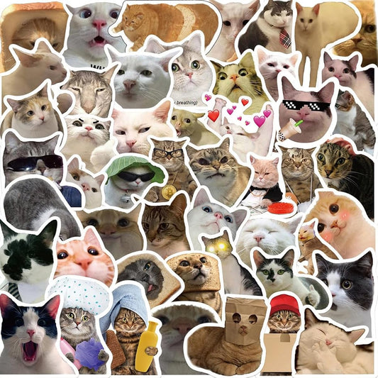 50 pieces funny cat stickers (cat)