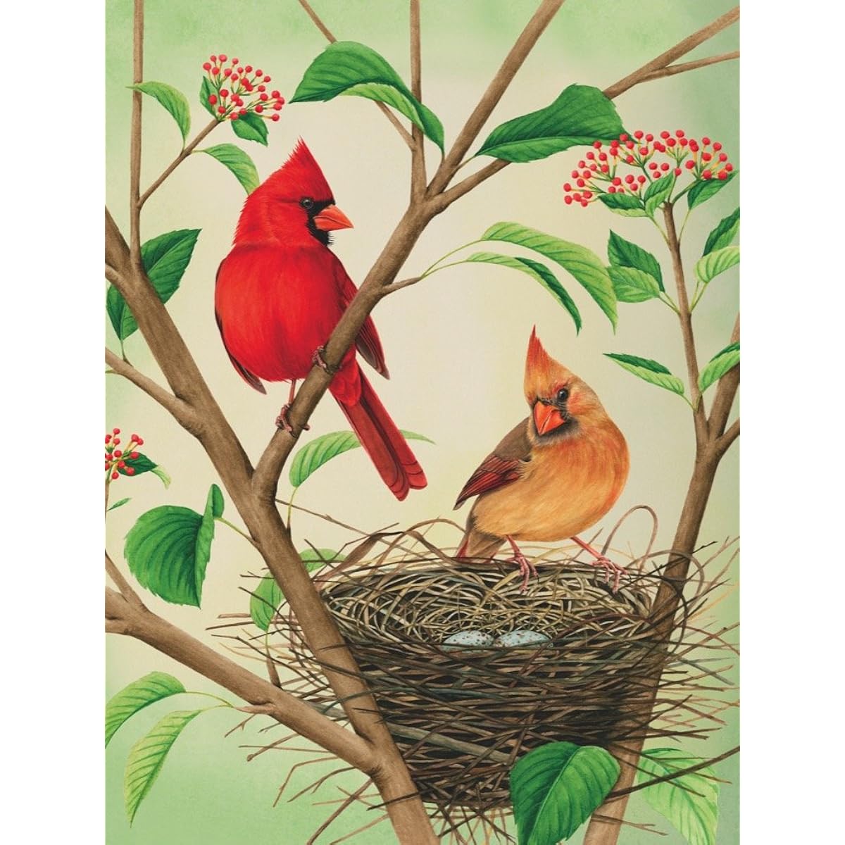 New York Puzzle Company Cornell Labs Northern Cardinals 500 Piece Jigsaw Puzzle