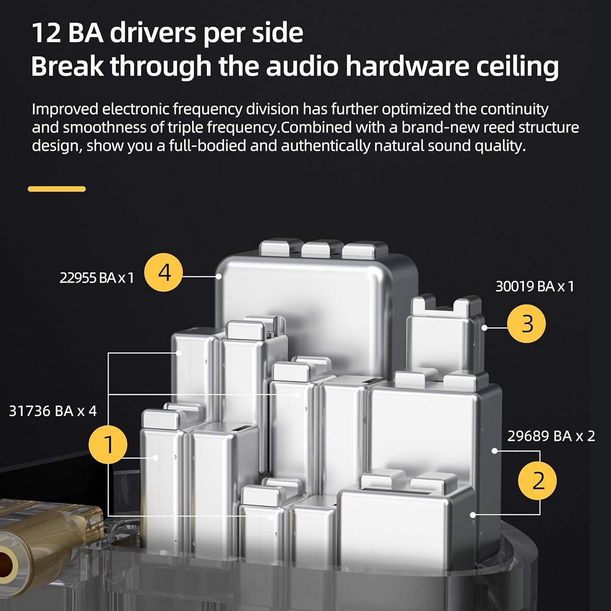 KZ AS24 12 Balanced Armature Driver Earphones Extra Bass IEM Earphones Ear Monitor for Audiophilly (Gun Color (Adjustable Version), with Microphone