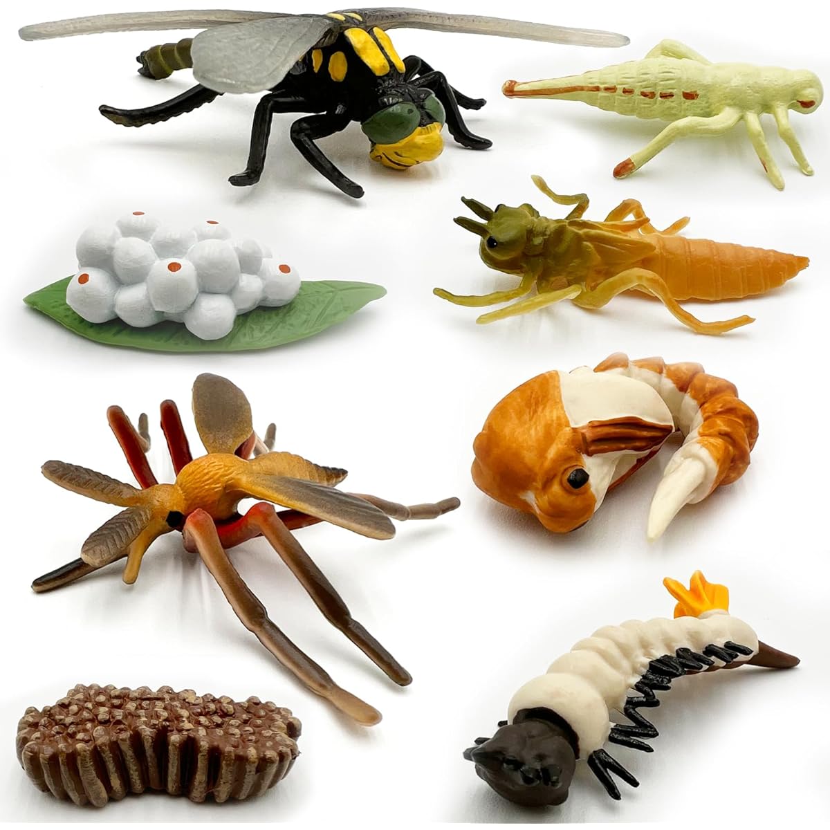 Gemini & Genius Life Cycle of Mosquito and Dragonfly Figurines, Insect Growth Diary Action Figures, Learning Gifts, Party Favors, Treasure Chest Giveaways, Goodie Bag Fillers, Fun for the Whole Family