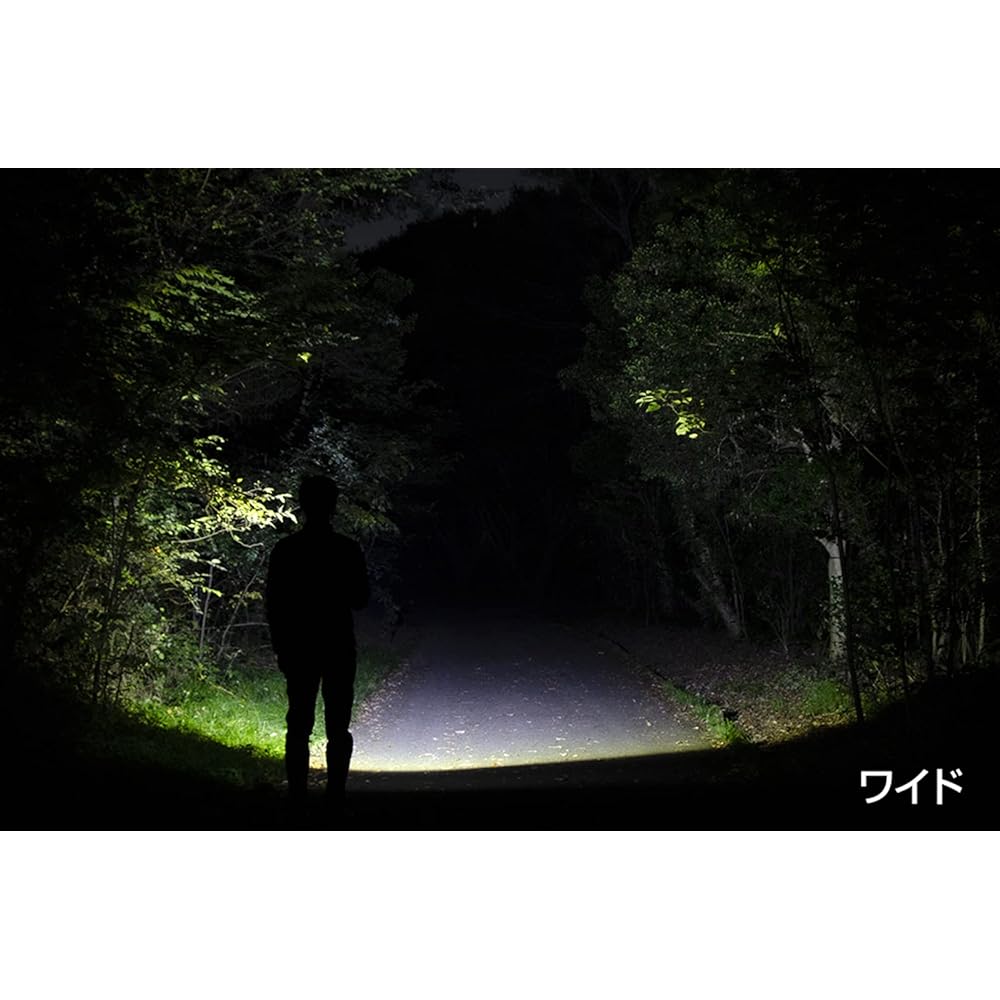 GENTOS Flashlight LED Light AA Battery Operated Powerful 480 Lumens Rexceed RX-332D Handy Light Flashlight