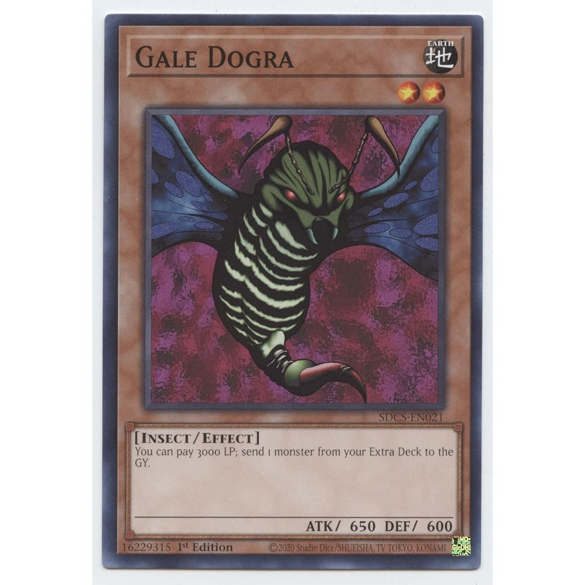 Gail Dogra - SDCS-EN021 - Common - 1st Edition