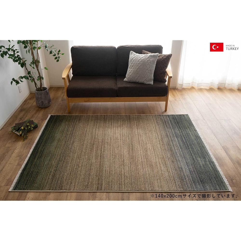 Sayan Sayan Vintage Taste Gradient Rug Fear 200×250 3 Tatami Green