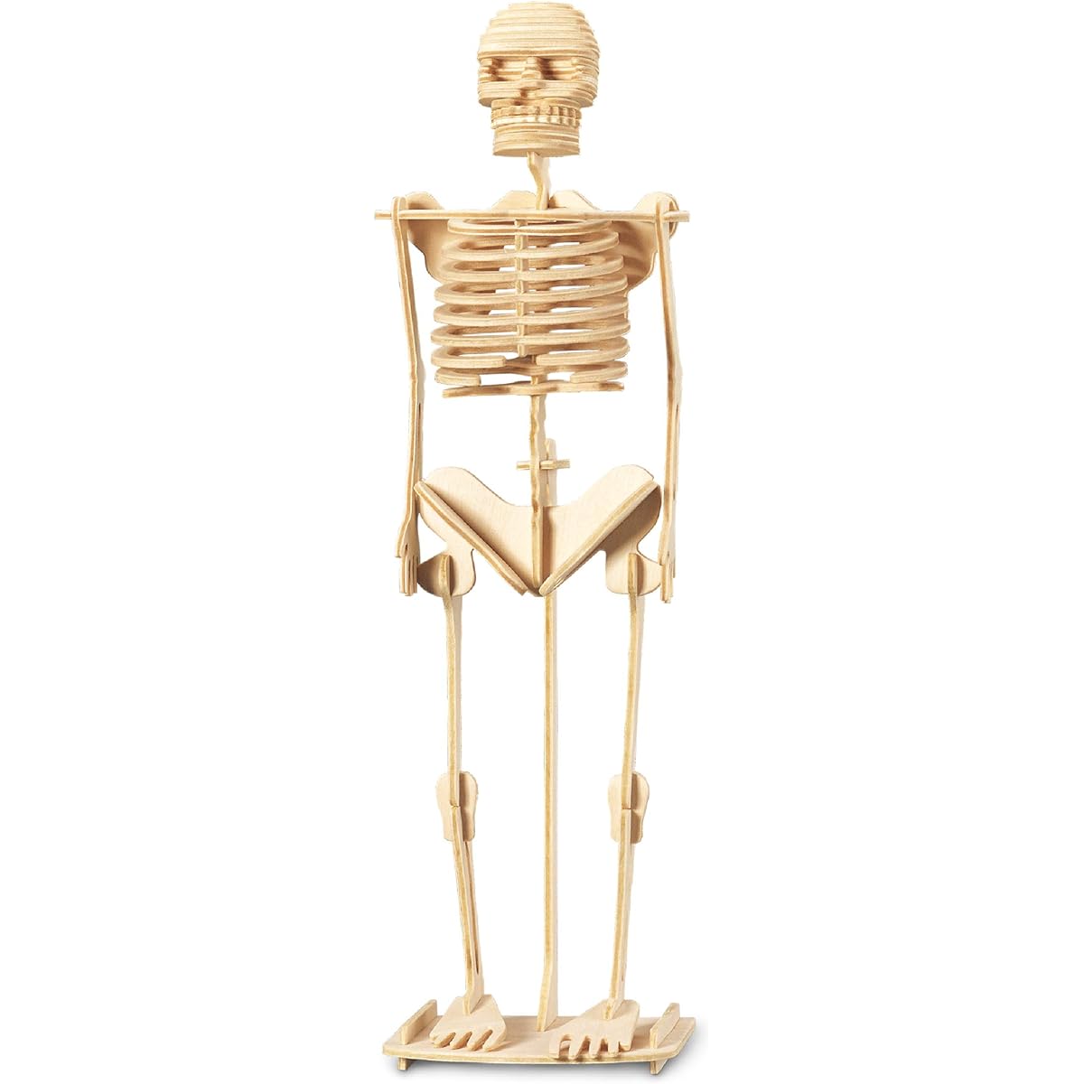 Puzzled 3D Puzzle Human Skeleton Wood Craft Building Model Kit Fun and Educational DIY Wooden Toys Assembled Model Unfinished Craft Hobby Puzzle Decoration 50 Pieces Pack