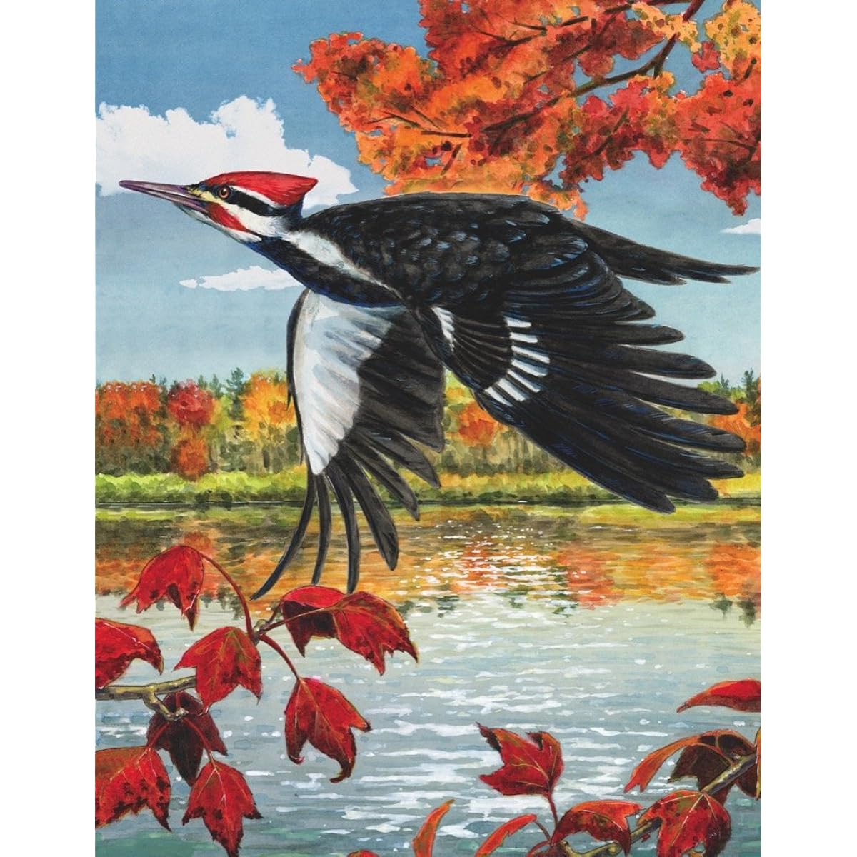 New York Puzzle Company - Cornell Labs Pileated Woodpecker Mini - 100 Piece Jigsaw Puzzle
