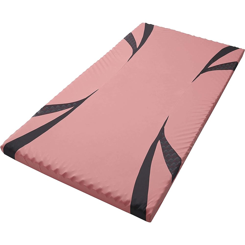 nishikawa [Nishikawa] [Air] Dedicated spare cover for single use Sold separately When you are concerned about damage or dirt on the side fabric *Mattress itself is not included Blue/Hard use HK09121671B