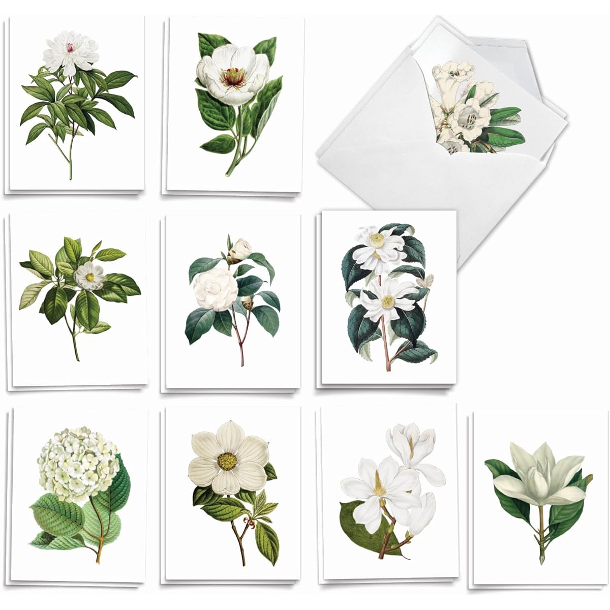 The Best Card Company Snow White Bloom - Boxed 20 Sympathy Notecards with Envelopes (10.4 x 10.9cm) - AM2818SMG-B2x10