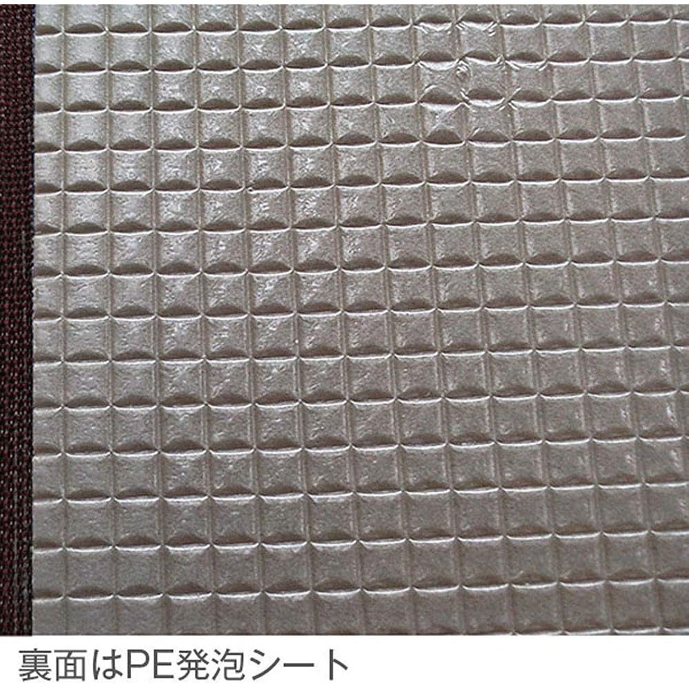 Ooshimaya Bathroom Tatami, Washable Resin Material, Antibacterial Deodorizing, Fall Prevention, Anti-Slip Floor, Natural, Approx. 60 x 85 x 3 cm