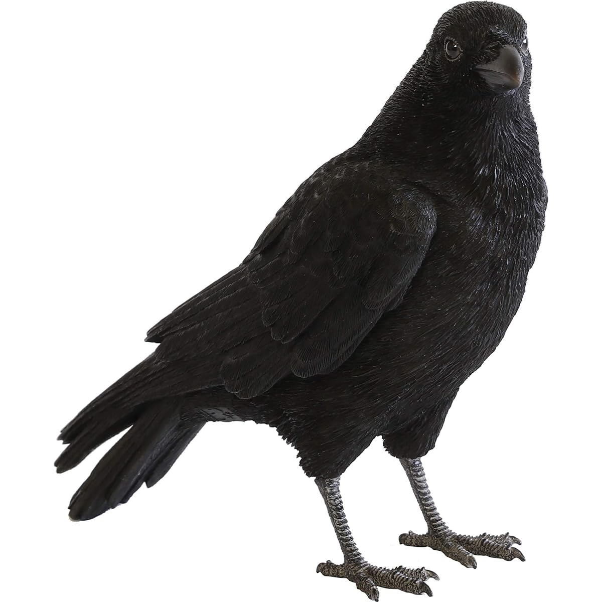 Magnet Pet Bank PET BANK Carrion Crow CARRION CROW 57801