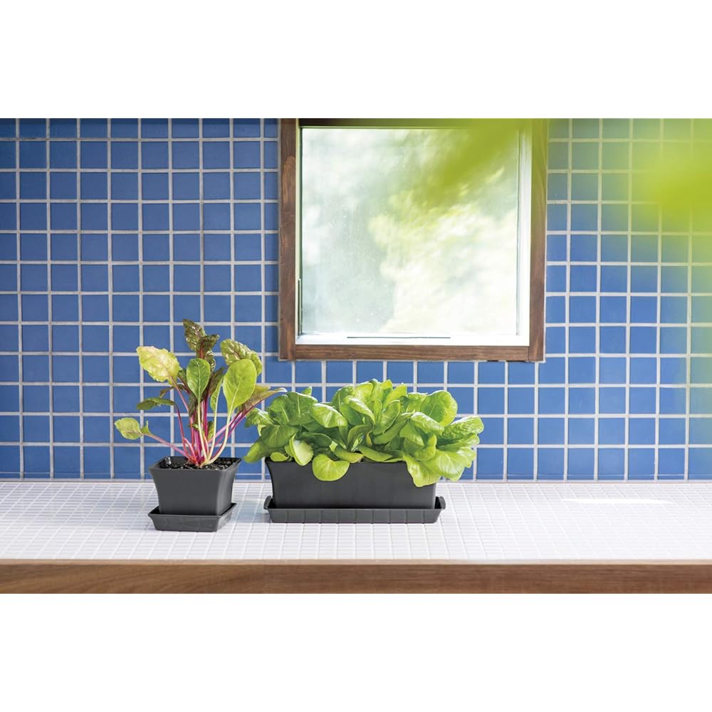 Richel Baby Leaf Planter 40 Type N Dark Gray Set of 5 002212