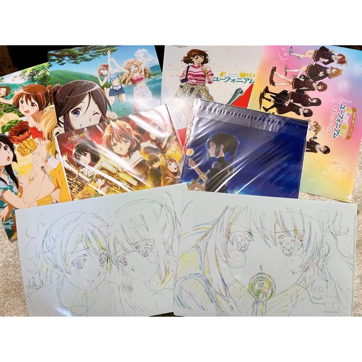 Sound Euphonium Clear File Bulk Sale TBTM1J7X