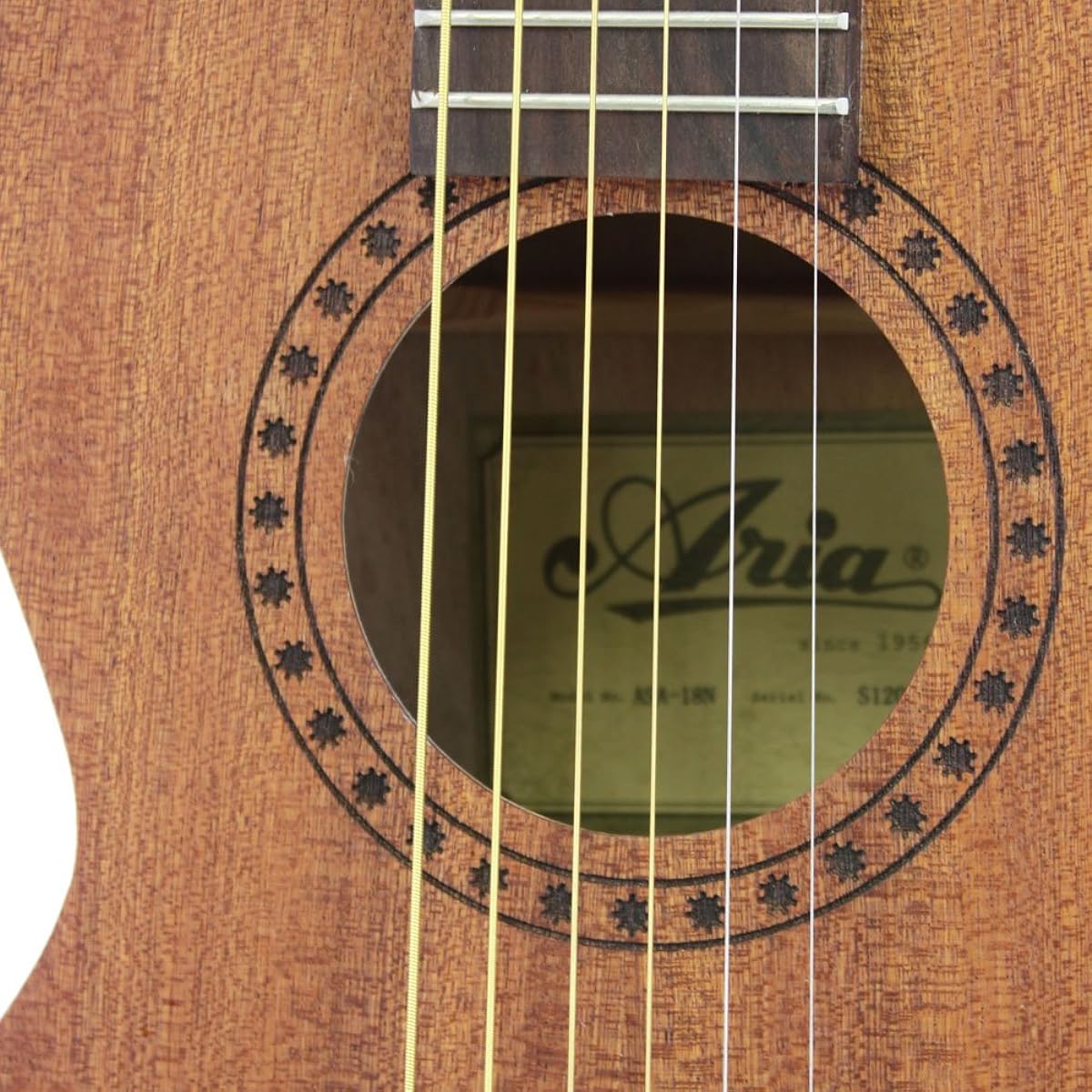 ARIA Mini Acoustic Guitar ASA-18 N with Case