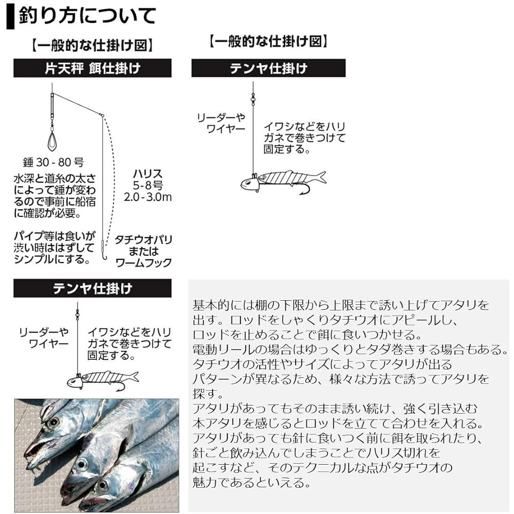 DAIWA Boat Rod Hairtail X ML-190/R Fishing Rod
