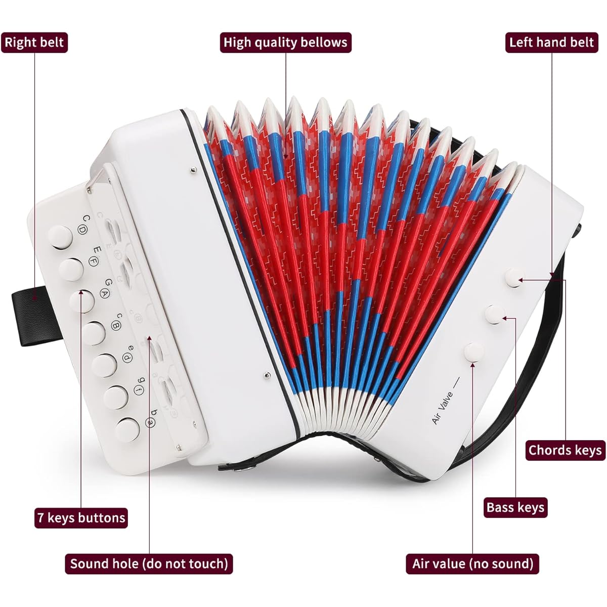Button Accordion 10 Key Control Accordion with 3 Air Valves Easy to Play Lightweight Eco-Friendly for Toddler Development (White)
