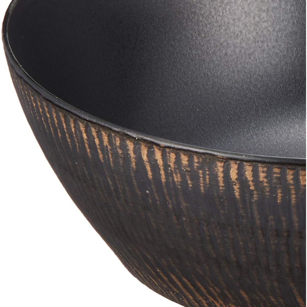 Arita Ware Ultimate Ramen Bowl Liso Kiln Black Glaze Blowing Plane R0308