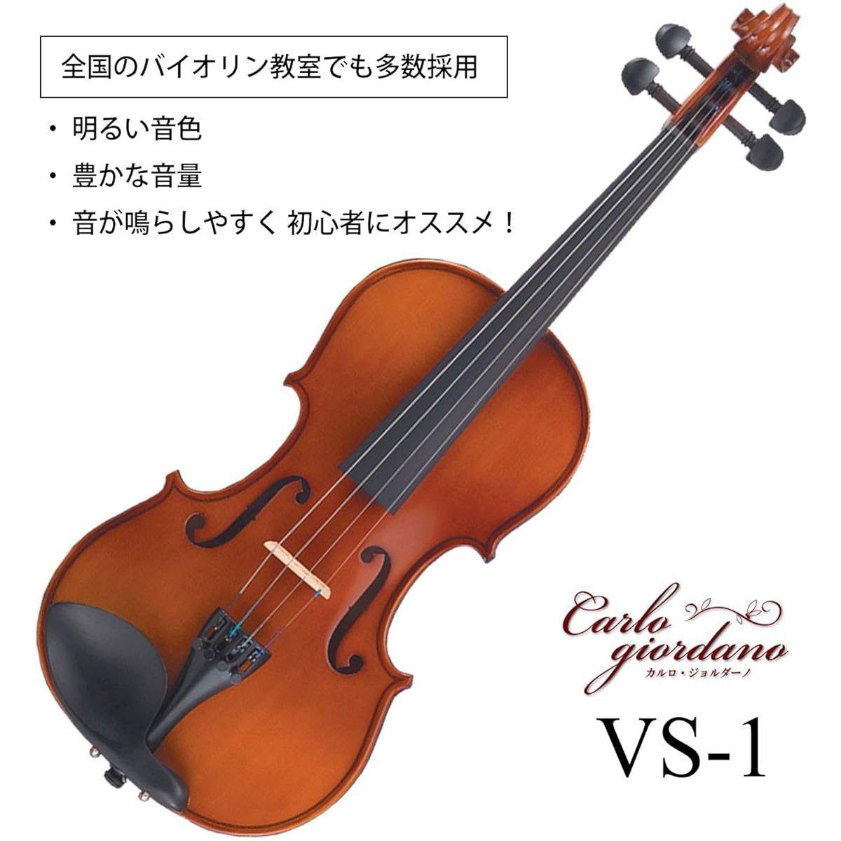 Carlo Giordano violin set VS-1 4/4