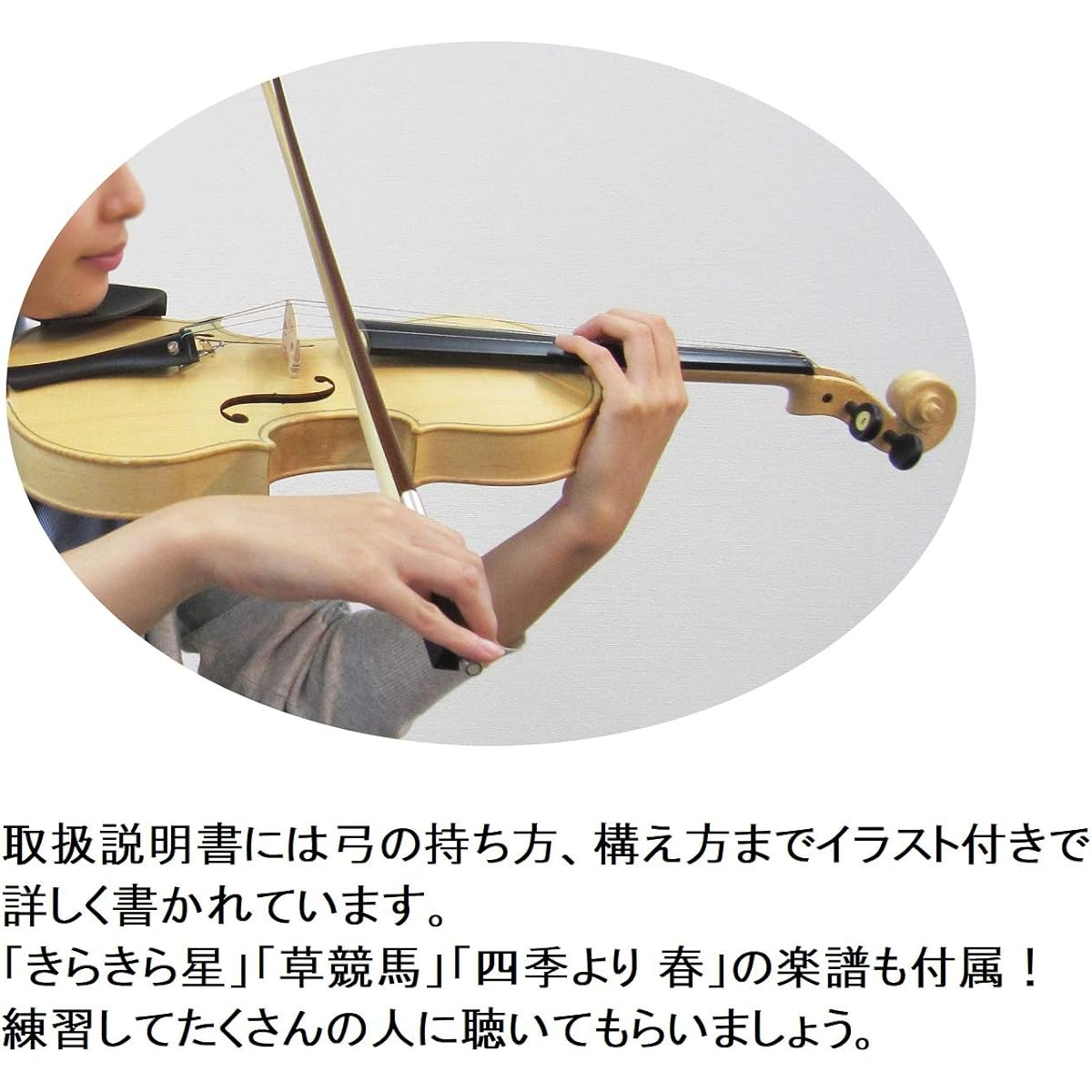 SUZUKI Handmade Instrument Series Violin Kit 4/4 SVG-544