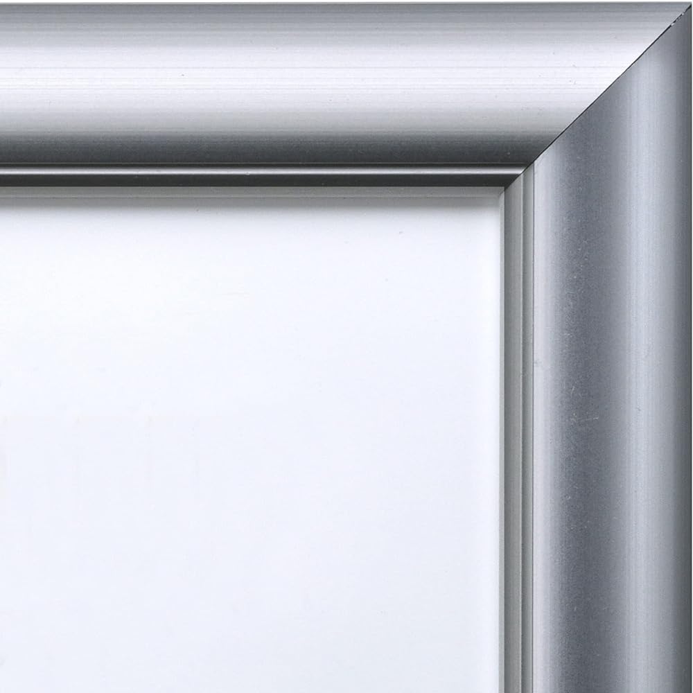 Hakuba [Bulk Purchase Set] HAKUBA Aluminum Picture Frame Peoria A4 Silver Set of 10 AMZFAPE-SV10A4