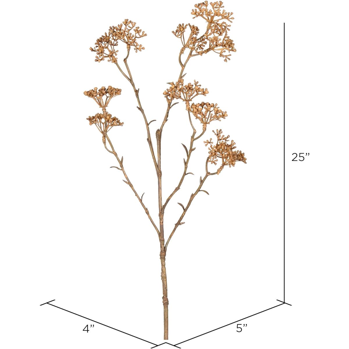 Vickerman Patrinia Spray Everyday Greenery 25" Beige