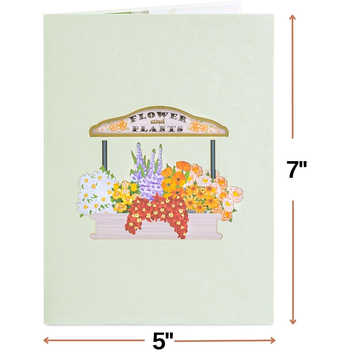 Paper Love Pop Up Cards Flower Bike Handmade 3D Pop Up Greeting Cards for Thanksgiving, Thank You, Thoughts, Fall, Get Well, Mother's Day, Any Occasion, 5" x 7"