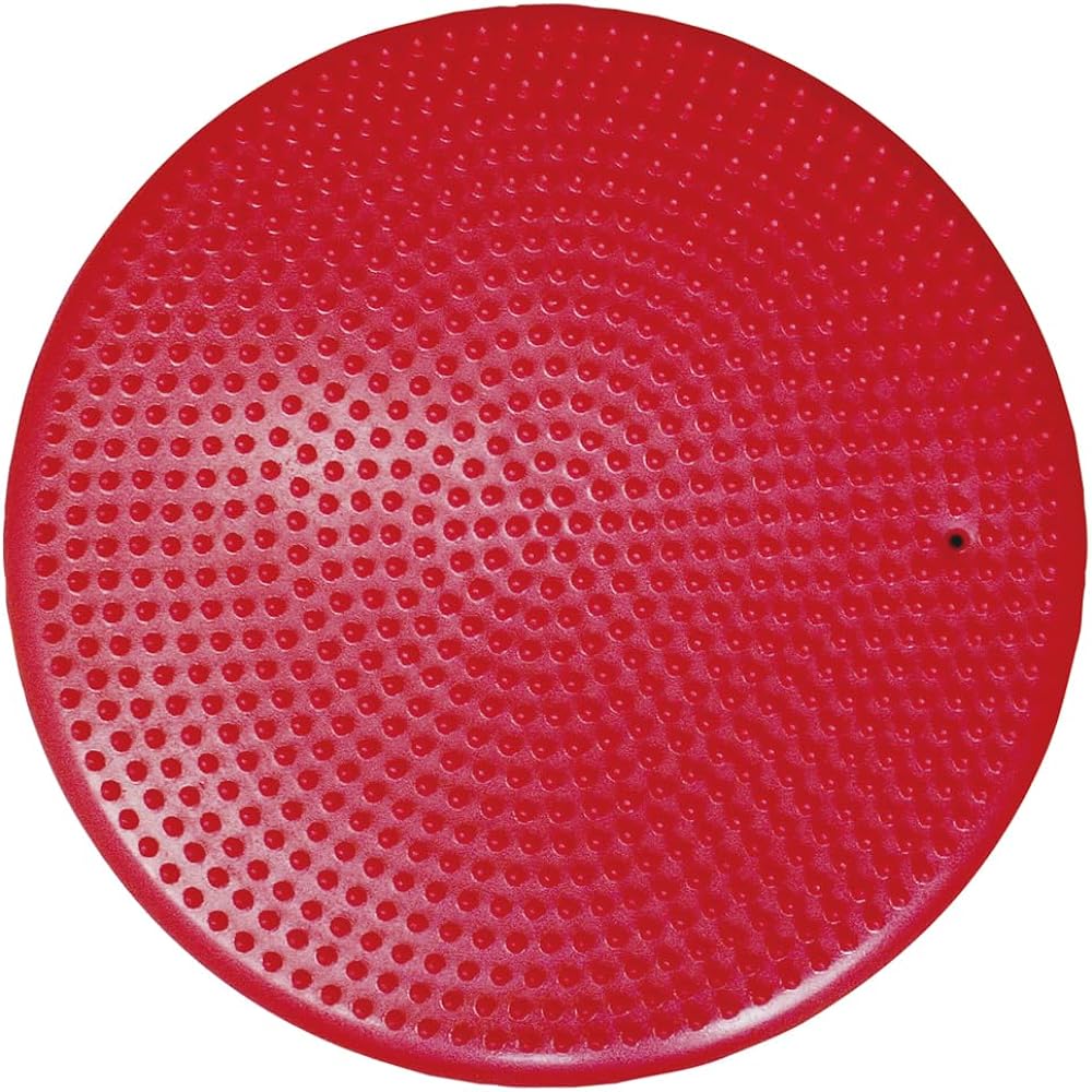 Hata Sports Equipment Industry HATAS Balance Disc DK380