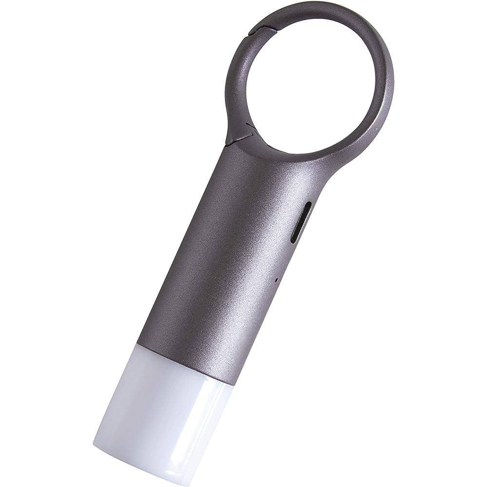 Lexon - Nomady Flash LED Warning Light with Carabiner Hook, Dark Gray