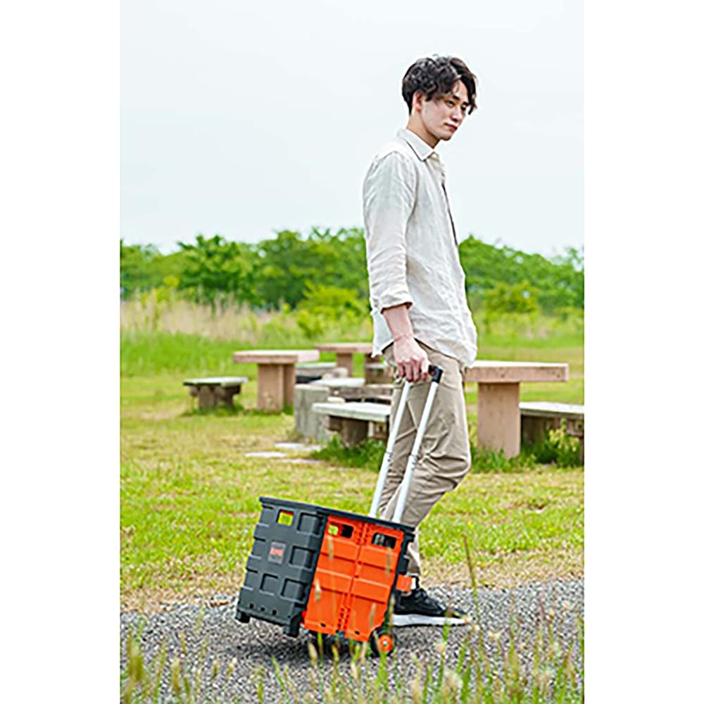 GRAPHIS Carry cart with lid GR-H1015 Black (when assembled) approx. W40 x D33.5 x H42 ~ 86.5cm