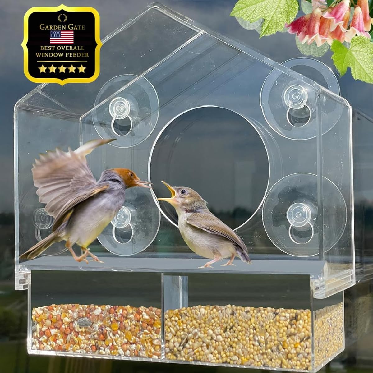 Go Simply Amazing Clear Bird Feeder (House Shape)
