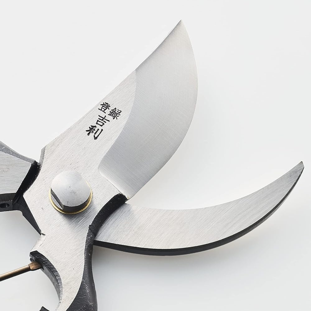 Aguri no Kura Geely Pruning Shears with Metal Clasp 230mm Domestic Made in Japan Made in Sanjo, Niigata Prefecture Handcrafted by blacksmiths B-type pruning shears Easy to cut using lever principle For pruning fruit trees and garden trees
