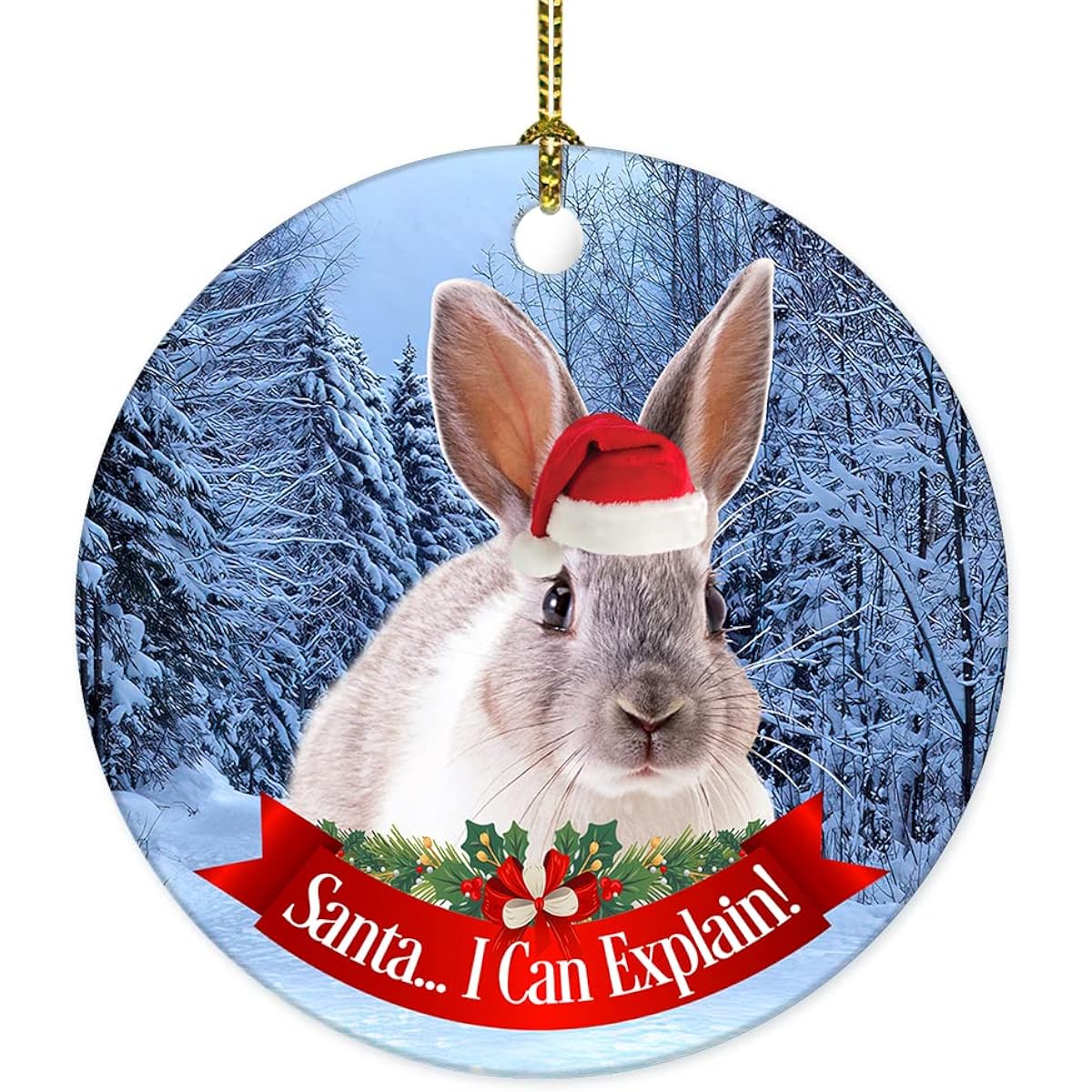 Rabbit Ornament for Christmas Tree 2022 Hanging Pet Ornament Ceramic Holiday Favor Rabbit Mom Rabbit Dad Rabbit Lover, Santa I Can Explain