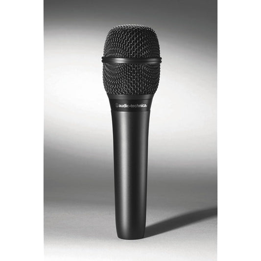 Audio-Technica AT2010 Condenser Microphone Handheld Video Distribution/Home Recording/Podcast/Live Commentary/DTM Black [Domestic Genuine Product]