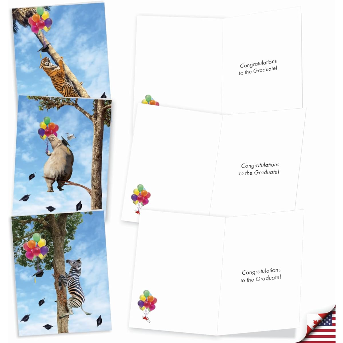 The Best Card Company 20 Graduation Note Cards Assorted Box Set (Graduates) 4 x 5.12 inches with Envelopes (10 Designs, 2 of Each) Wooden Animals AM10323GDG-B2x10