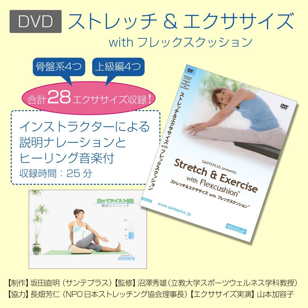Sante Plus Flex Cushion (Black) & DVD Set FC-A402K-DV Black