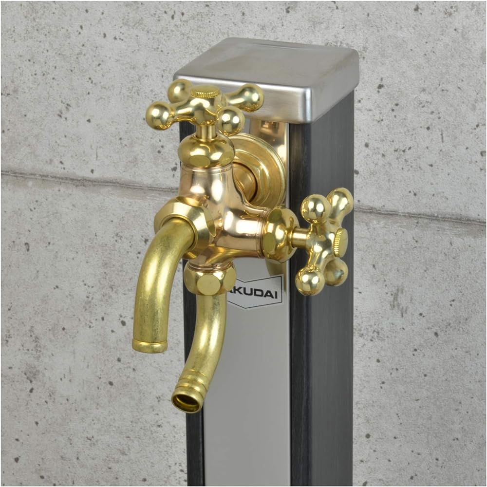 Gaona All-Purpose Home Double-mouth Faucet GAONA This is awesome GA-RE003 Retro