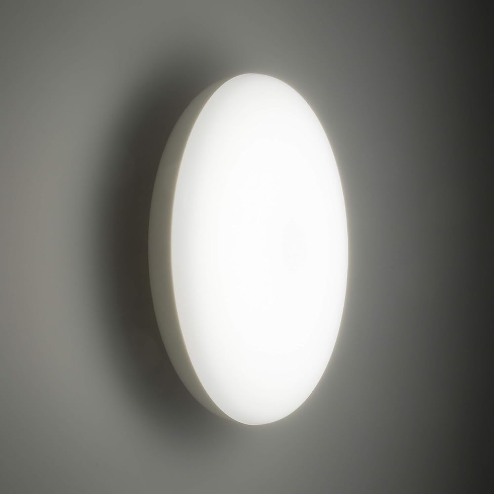 Ohm Electric LED bathroom light, electrical work required, 100 type equivalent, daylight white LT-F5415KN 06-3910 OHM