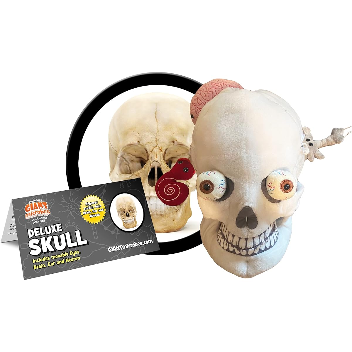 GIANTmicrobes Deluxe Skull Plush Toy with Mini Organs - Realistic Anatomical Human Skull, Adorable Educational Biology Gift, Detachable Mini Brain Organ, Inner Ear, Brain Cells, Eyeballs