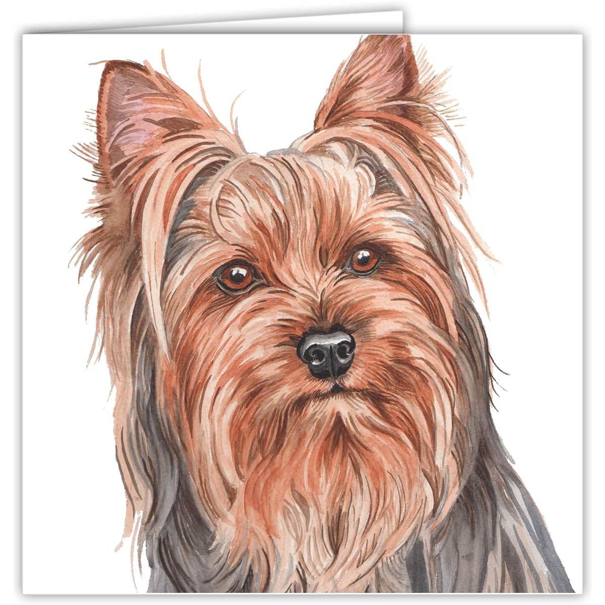 Maturi Blank Greeting Card Light Blue Yorkshire Terrier Dog Image