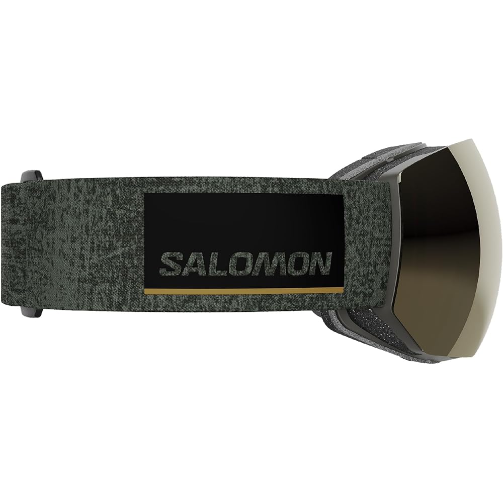 [Salomon] Ski Snowboard Goggles RADIUM PRO SIGMA PHOTOCHROMIC (Radium Pro Sigma Chromic) Unisex