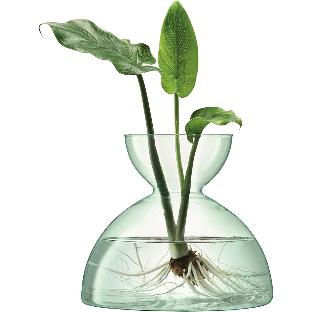 LSA Flower Base Clear W21xD21xH18cm LSA LCQ09, G1584-18-161