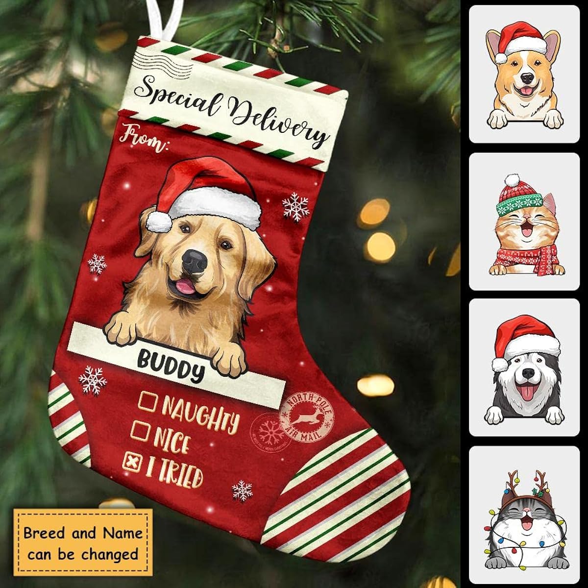 Pawfect House Special Delivery for Santa - Christmas Dogs and Cats - Personalized Christmas Stockings, Christmas Stockings for Dogs, Hanging Christmas Stocking Decorations, Christmas Stockings for Dogs