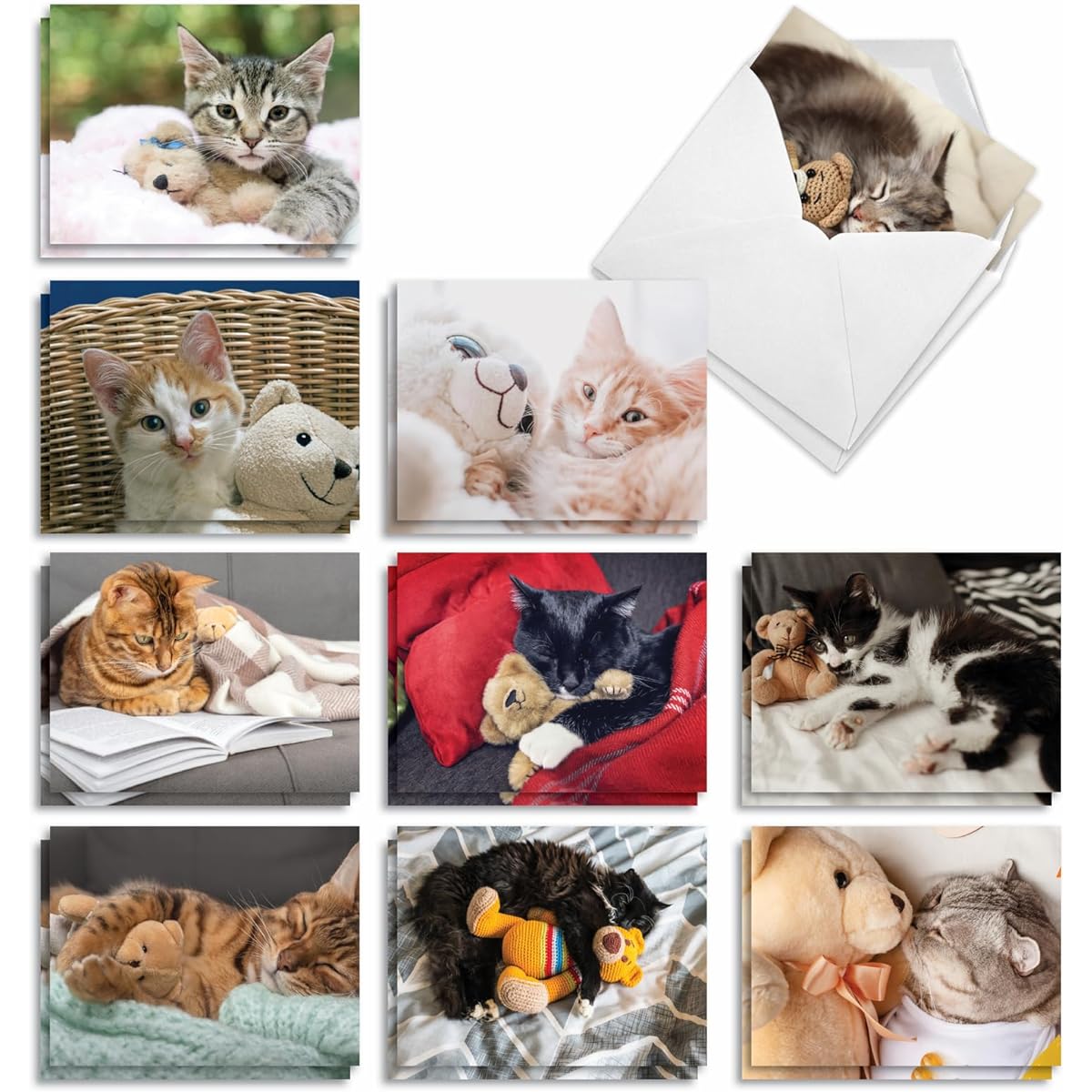 The Best Card Company Teddy Cat - Assorted Box of 20 All Occasion Notecards with Envelopes (10 x 5.12 inches) - AM2821OCB-B2x10