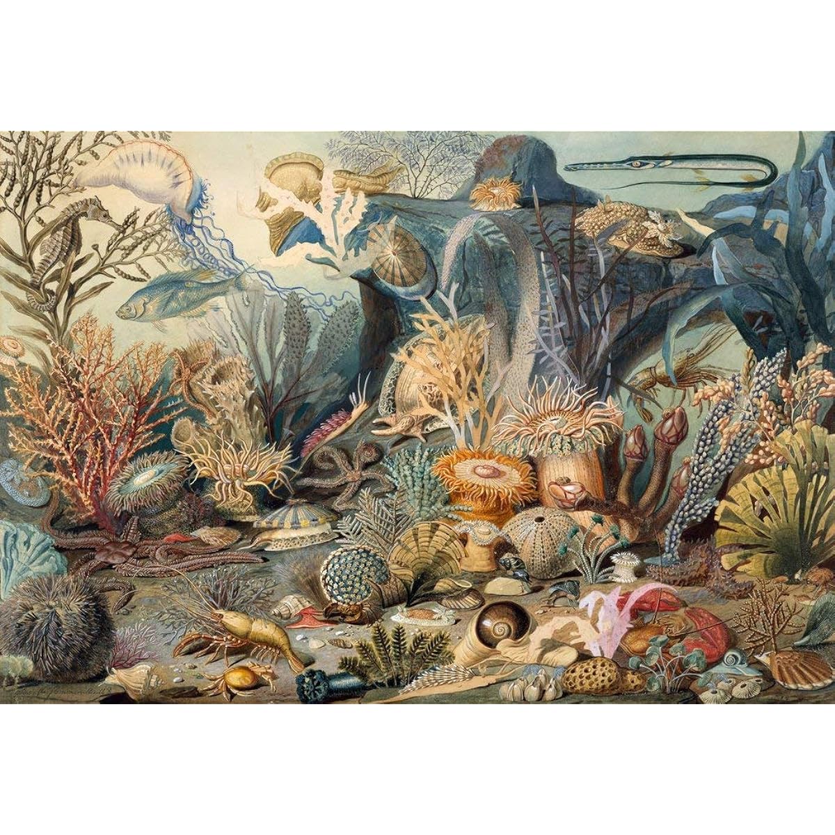 Nautilus Puzzles Adult Wooden Jigsaw Puzzle - Sea Creatures - 475 Unique Wooden Pieces Made in the USA