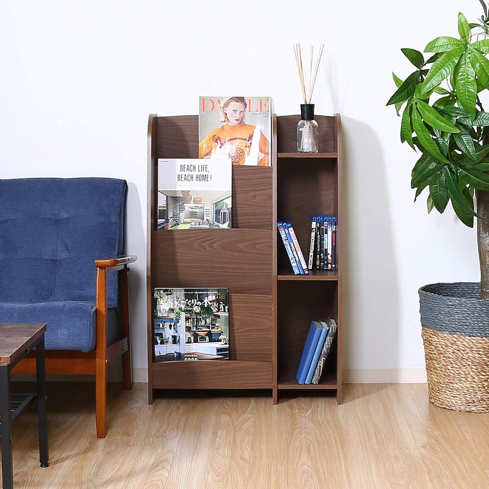 Fuji Boeki Bookshelf Book Rack Display Rack Width 60cm Medium Brown Storage Compact 99549