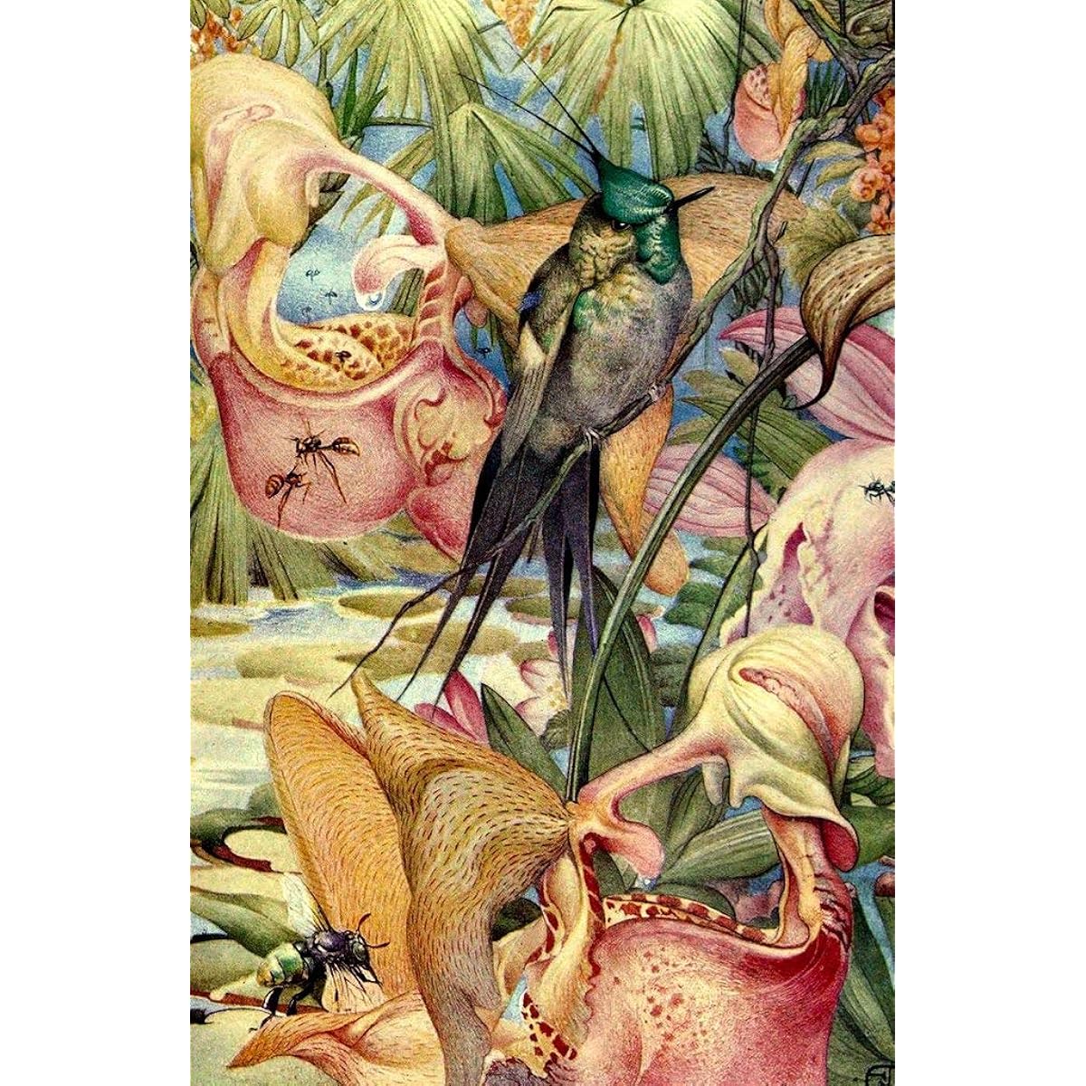 Mini Wooden Jigsaw Puzzles: Birds and Insects - 47 Unique Wooden Pieces Nautilus Puzzles Made in the USA