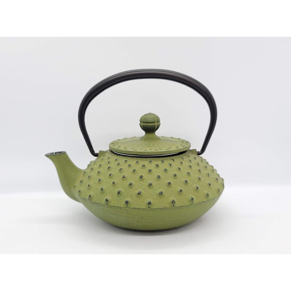 Iwachu Teapot 3 Type Flat Arale Wakakusa 0.35L Enamel Inside Nambu Ironware 12641
