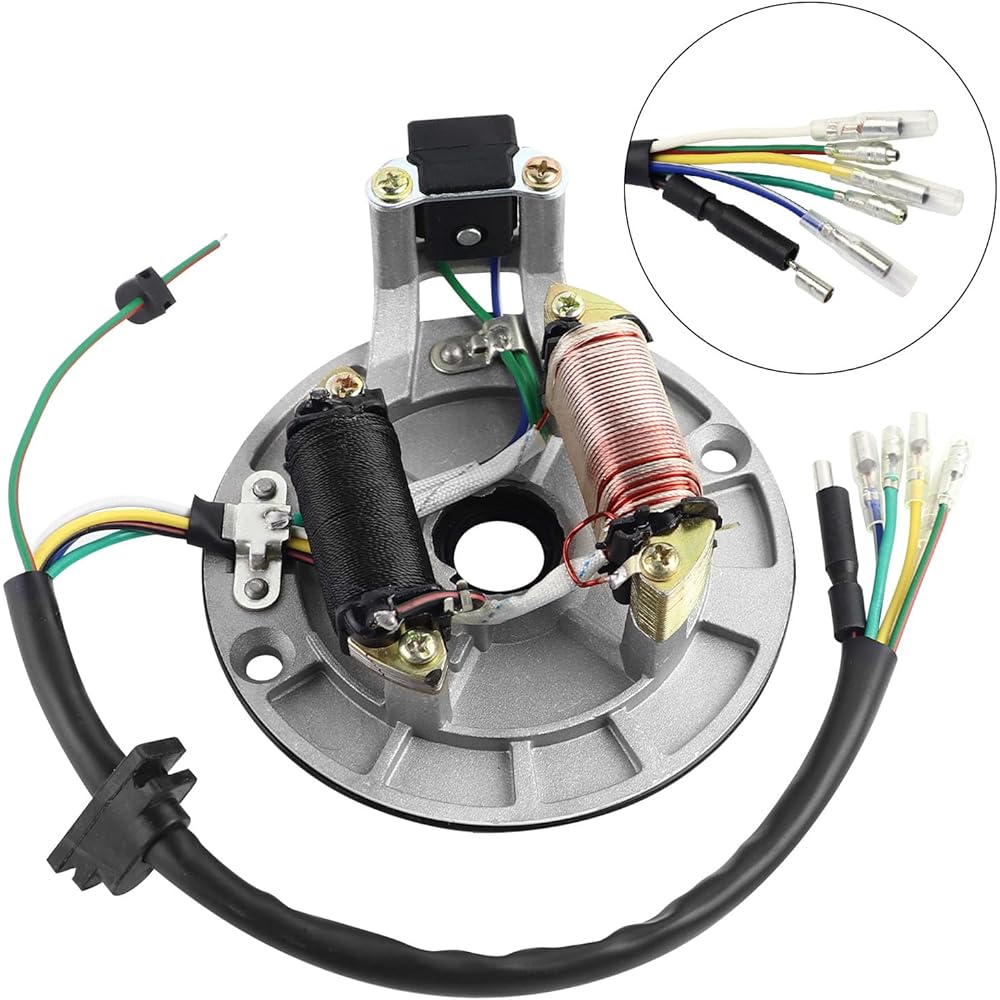 Flypig 2-Coil Ignition Stator Magnetic for 50cc 70cc 90cc 110cc 125cc Taotao Roketa Sunl Dirt Bike ATV Quad
