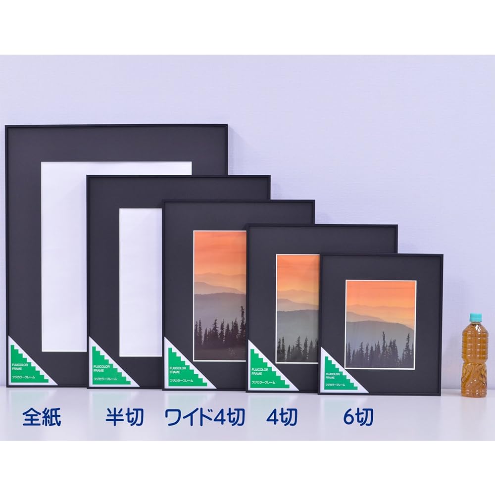 FUJICOLOR Picture Frame A300 All Paper Aluminum Black 39682