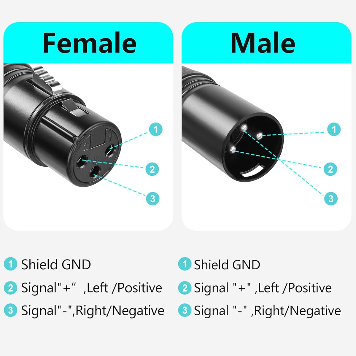 GELRHONR 3 Pin XLR to RJ45 Male Adapter Cable XLR Female to RJ45 Network Connector Extension Cable with CAT5 Ethernet for DMX-CON Controller Series - 1.1 Feet