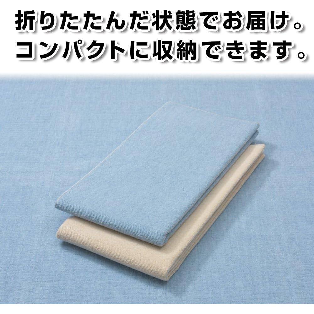Hagihara Antibacterial Carpet Edoma 6 tatami 261 x 352 cm Blue 1134000080605