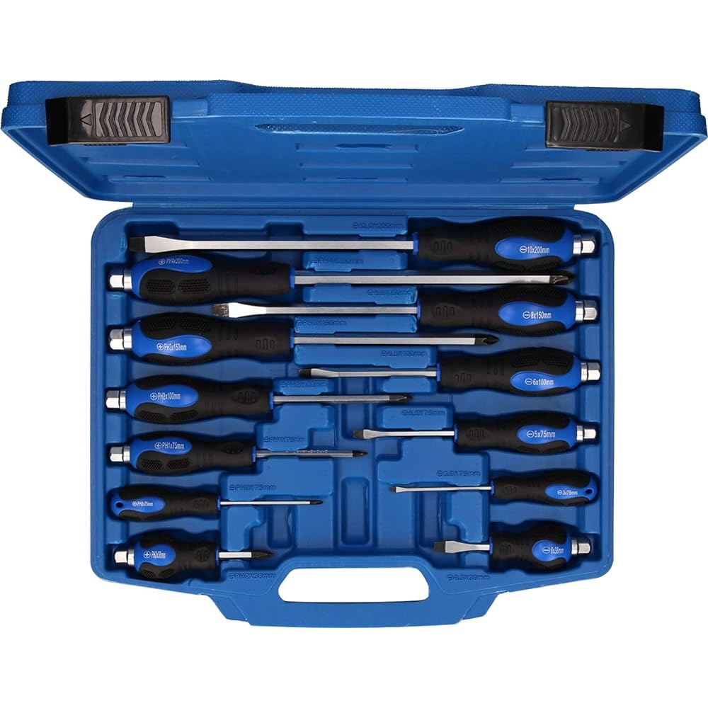KS Tools Hammer Cap Screwdriver Set 12 Slots PH Plus BT034012